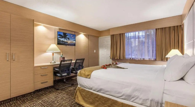 Двухместный номер Standard Ocean Beach Palace