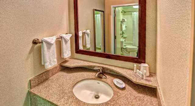 Двухместный люкс c 1 комнатой SpringHill Suites Norfolk Old Dominion University
