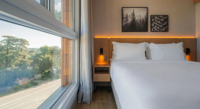 Люкс Standard Golden Tulip Canela