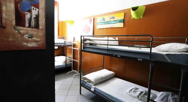 Кровать в общем номере Koala Hostel
