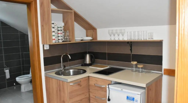 Люкс OSTROG Aparthotel KOLIBA-VLASTNIŠTVO MANASTIRA OSTROG