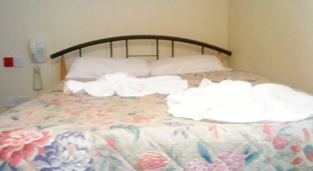 Hotel Sophia