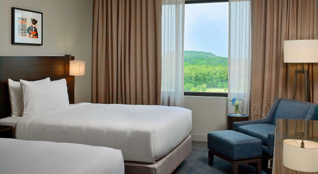 Четырёхместный номер Deluxe Sonesta Bee Cave Austin Hill Country
