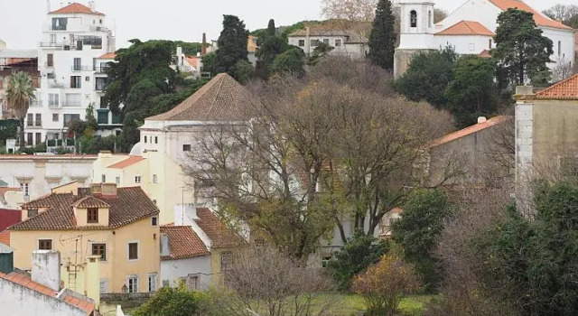 Апартаменты с видом на озеро Mosteiro - Lissabon Altstadt