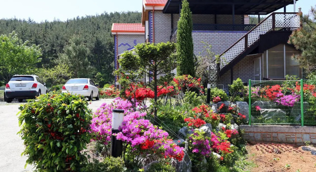 Badawapureunsol, Reserva ahora Hotel Taean Chungcheongnam-Do