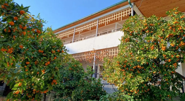 Inzhir Guest house, Varaa Matkakoti New Athos Gudauta district