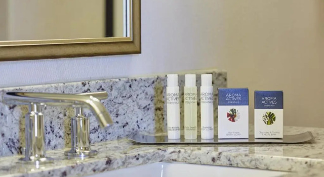Номер Standard с видом на город DoubleTree by Hilton Washington DC   Crystal City