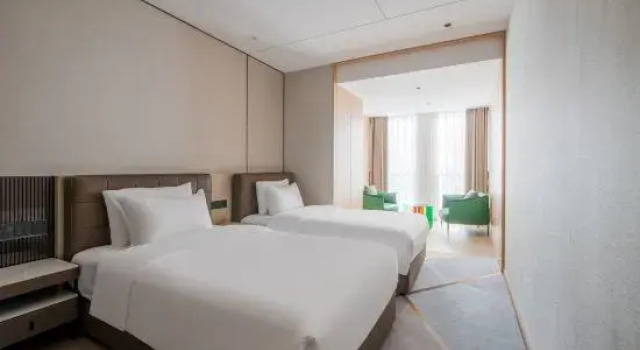 Luksusowy suite Western apartments
