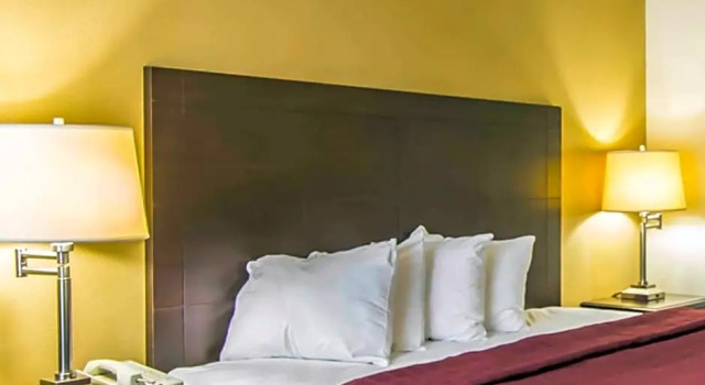 Двухместный номер Standard с видом на бассейн Quality Inn Alachua - Gainesville Area