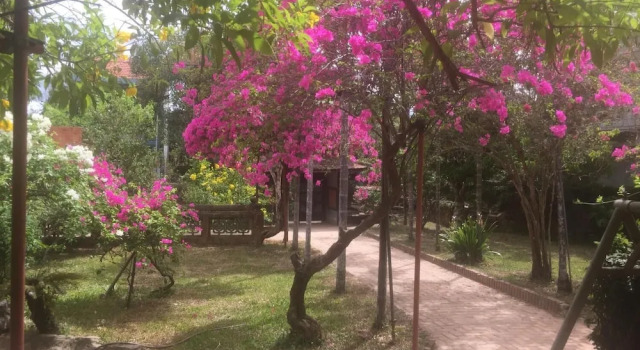Spirit Hue Homestay, Забронировать Отель Отели Тхыатхьен-Хюэ с завтраком, Завтраки