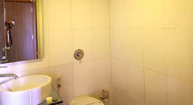 Люкс Hotel Vihangs Inn