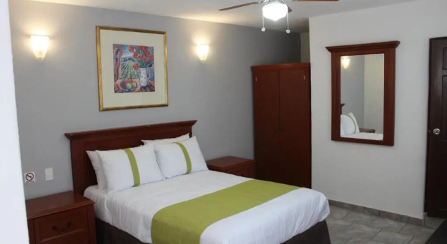 Двухместный номер Standard Suites Bajío