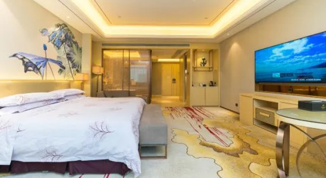 Люкс Deluxe Rich Forex Hotel