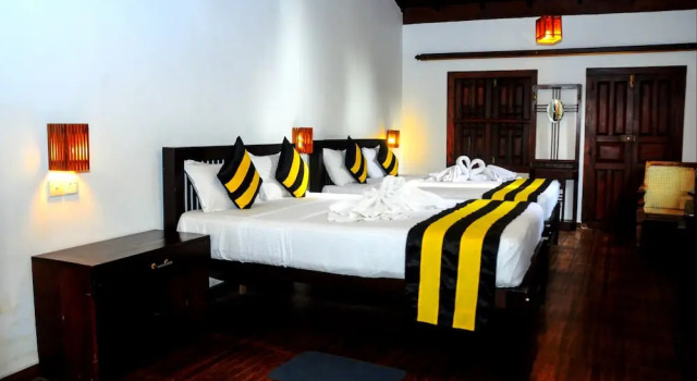 Номер Standard Happy Banana Hotel