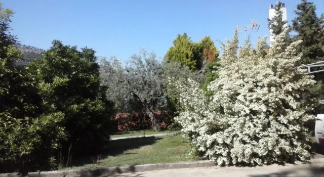 Коттедж Vista Del Mare Luxury Villa