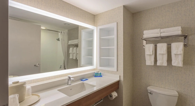 Двухместный номер Standard Holiday Inn Express & Suites - Belleville by IHG