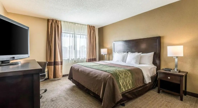 Номер Standard Comfort Inn Detroit Downtown