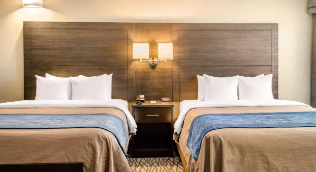 Четырёхместный люкс Comfort Inn Montreal Aeroport