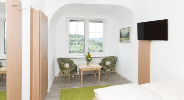 Одноместный номер Comfort Hotel Garni BURG WALDENSTEIN
