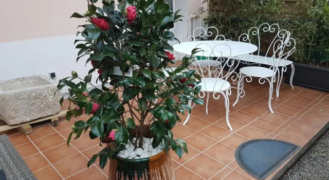 Апартаменты 23 Rue Jean Amade