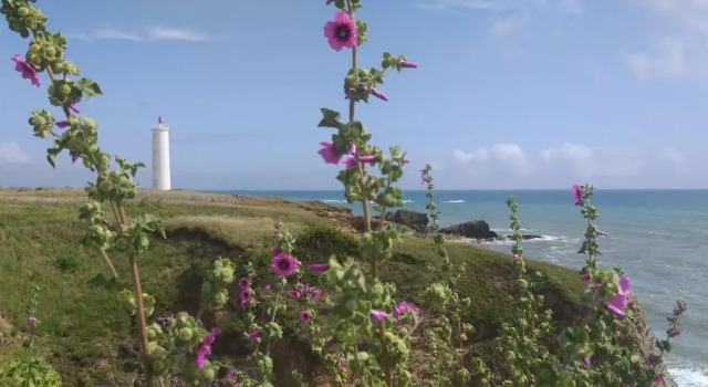 Коттедж Ma maison au bord de la mer