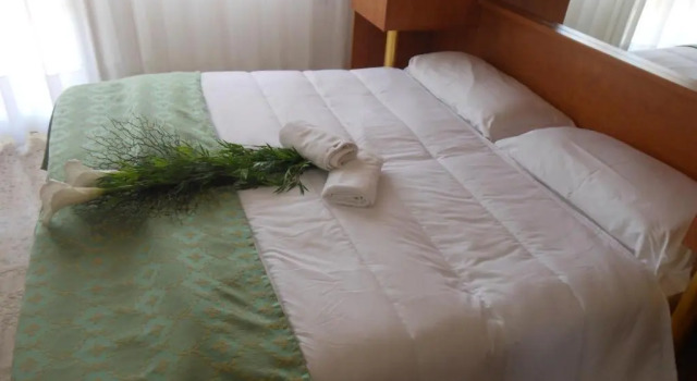 Номер Standard Oasi Verde