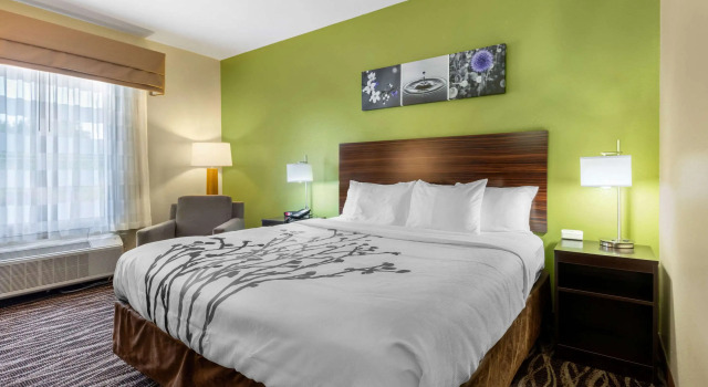 Двухместный номер Standard Sleep Inn & Suites Millbrook - Prattville