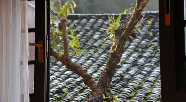 Номер Superior Qing Dynasty House