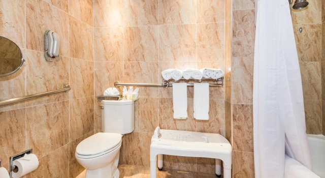 Двухместный номер Standard Holiday Inn Convention Center by IHG