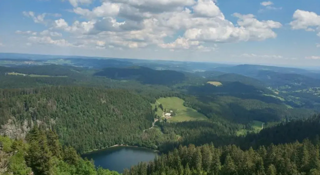Апартаменты Schwarzwaldhorst Fewo 1 - 4 Schlafzimmer - Todtnau, Feldberg