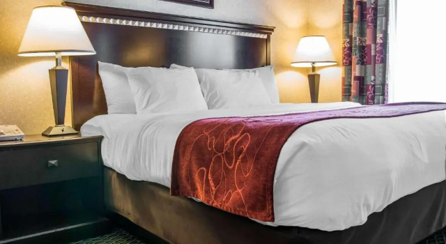 Люкс Comfort Suites Canton - Detroit