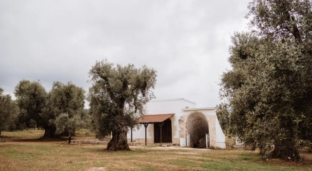 Четырёхместный номер Standard Masseria Casamassima agriturismo