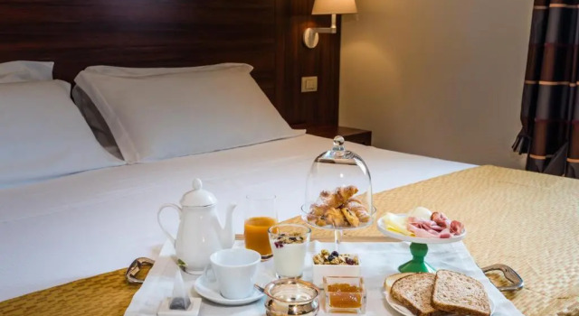 Klassisk  værelse Delfina Palace Hotel