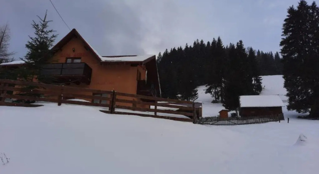 Коттедж с 3 комнатами Casa Aurici Vatra Dornei