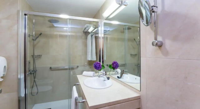 Двухместный номер Superior Hotel Palacio de Aiete