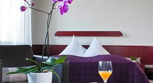 Двухместный номер Standard Hotel Neuer Karlshof