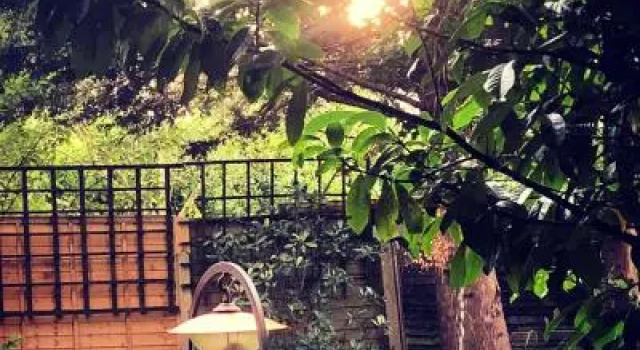 Waterside Bed  Breakfast, Book Hotel Hoteller i Hillingdon med morgenmad, Morgenmad