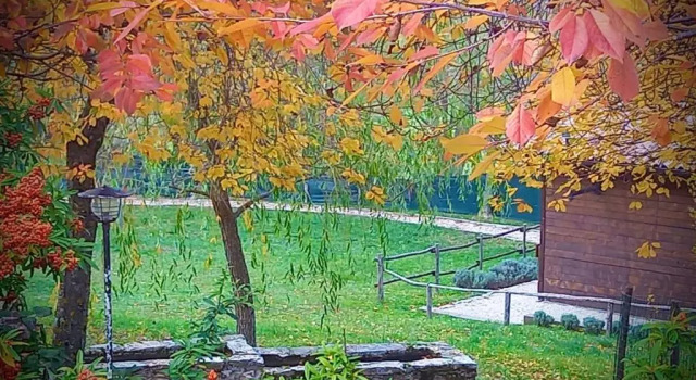 Шале Chalet Vacanze Il Daino