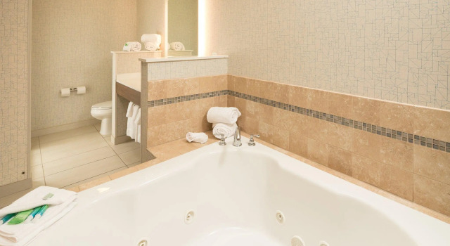 Двухместный люкс Holiday Inn Express & Suites - Portage by IHG