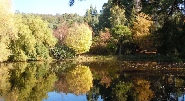 Whispering Spirit Holiday Cottages & Mini Ponies, Book Vacation Home Franklin Tasmania