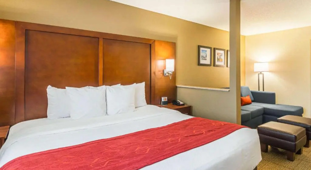 Люкс Comfort Suites Grayslake near Libertyville North