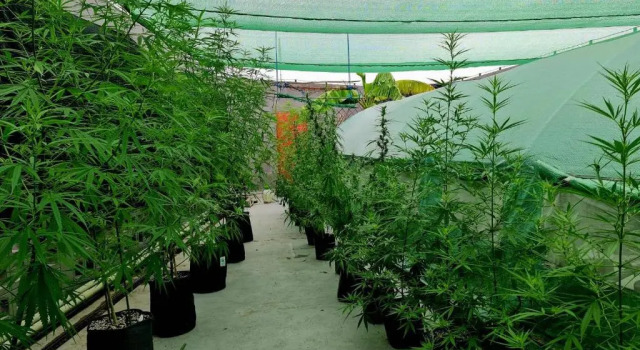 Апартаменты Rent V38 #420 Friendly