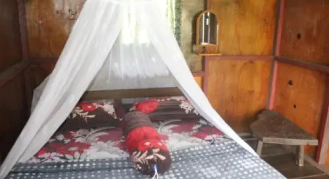 Rain Forest Guest House and Jungle Trekking, Book Guesthouse Hotels in Sumatra with Breakfast, Breakfasts