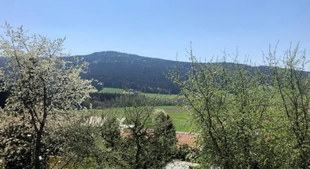 Номер Standard Steinbühler Hof - Stressfrei am Lande