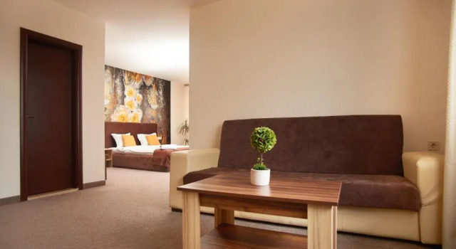 Апартаменты Deluxe Flamingo Plovdiv