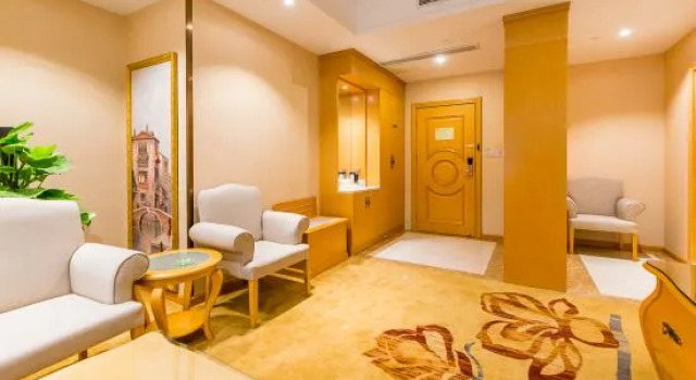 Люкс Deluxe Vienna Hotel (Nanjing Qidi Street)