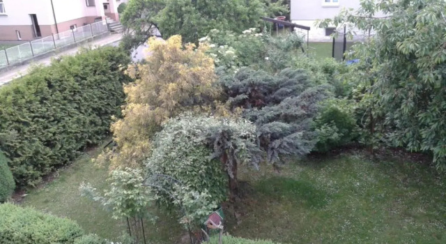 Номер Superior Villa Shafaly