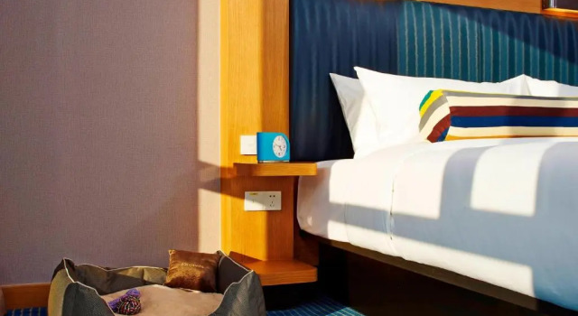 Двухместный номер Standard с видом на город Aloft by Marriott Dongguan Songshan Lake