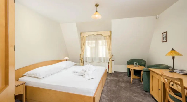Двухместный номер Standard Hotel Zlaty Lev