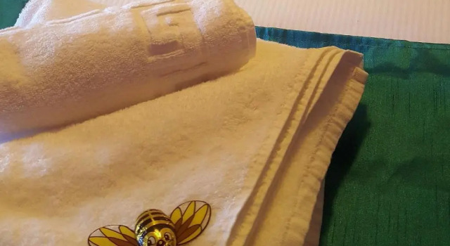 Economy huone Yardley Manor Hotel